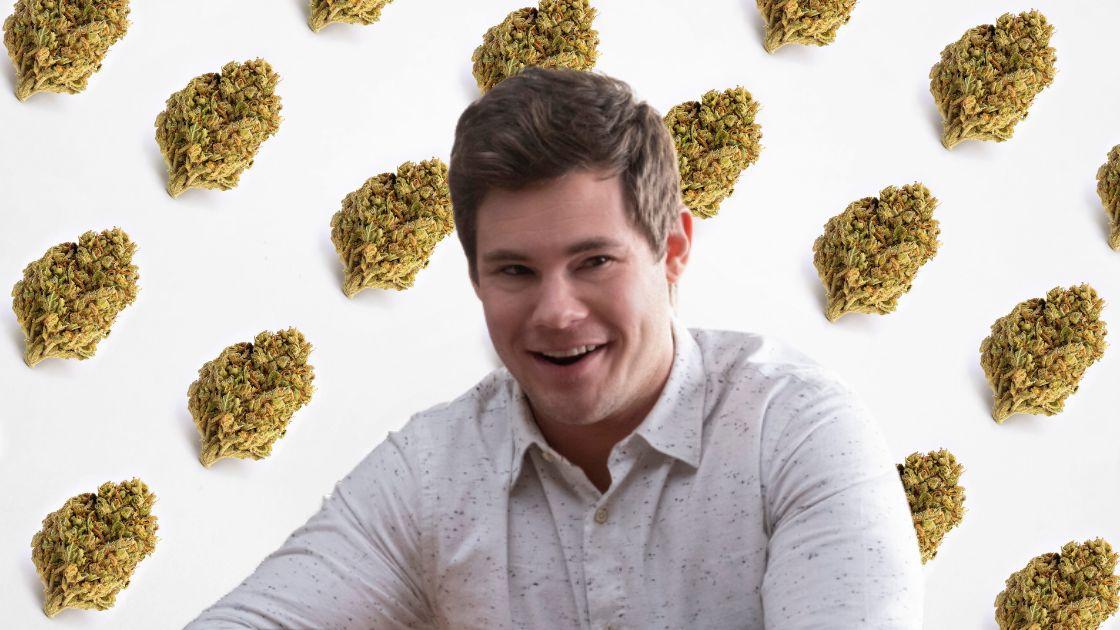 Adam Devine Cannabis Costume